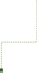 Milano decorative line art